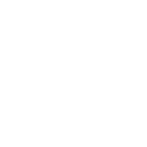 Scan 4 Safety